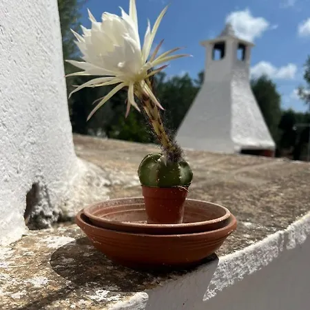 بيت للعطل Trullo L'ulivo *