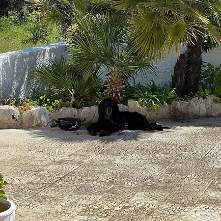 Trullo L'ulivo *